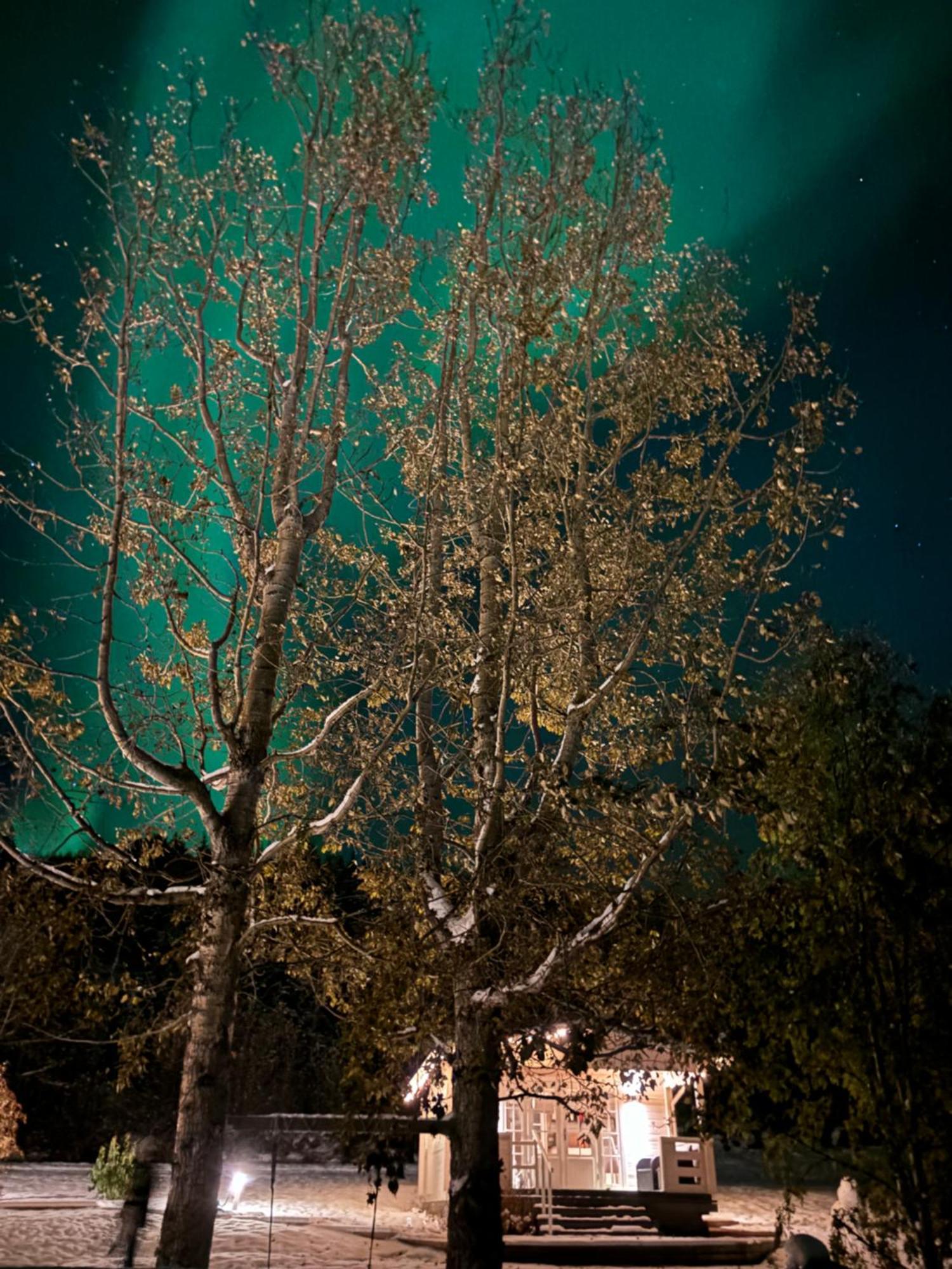 Laugar Guesthouse Eksteriør billede