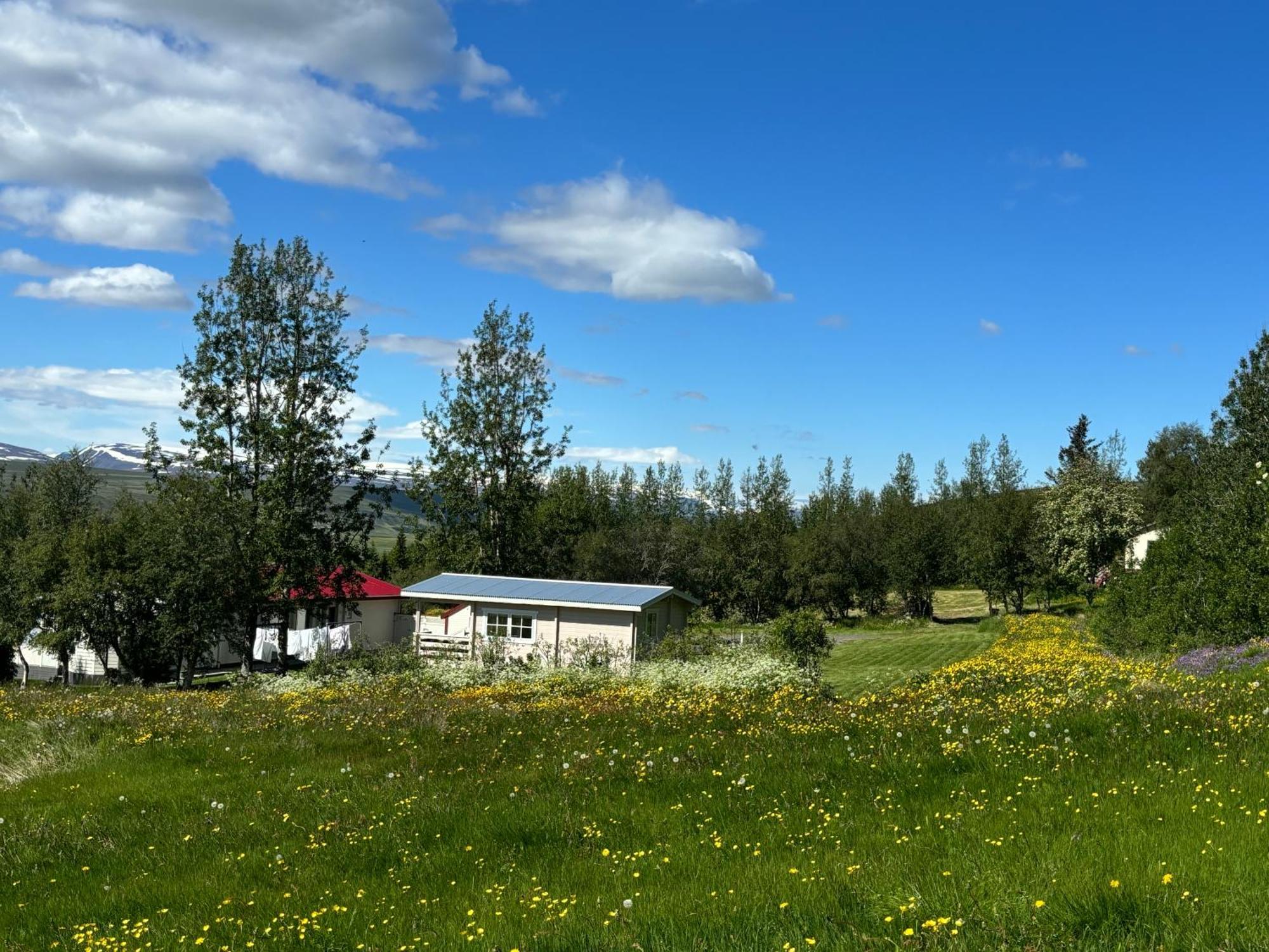 Laugar Guesthouse Eksteriør billede